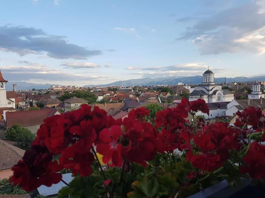 شقة Sibiu Bach Penthouse المظهر الخارجي الصورة